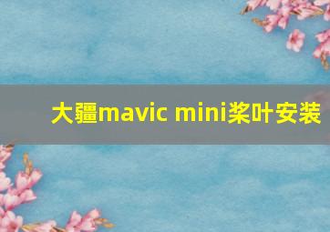 大疆mavic mini桨叶安装